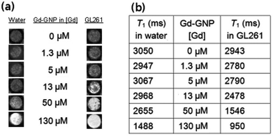 (a) T1-weighted images of an aqueous solution of Glc-GNP (left) and the incubated fixed GL261 cells (right) at different Gd concentrations; and (b) the corresponding T1 values of Glc-GNP in water and incubated with GL261 cells at 11.7 T.