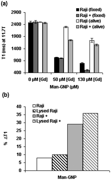 (a) T1 values of fixed and live Raji and Raji+ cells incubated with Man-GNP at 50 μM and 130 μM concentrations of Gd; and (b) comparison of %ΔT1 of live and lysed Raji and Raji+ cells after incubation with Man-GNP at 50 μM concentration of Gd. A representative value of several experiments is shown. Error bars correspond to the curve-fitting of T1 map image intensities.