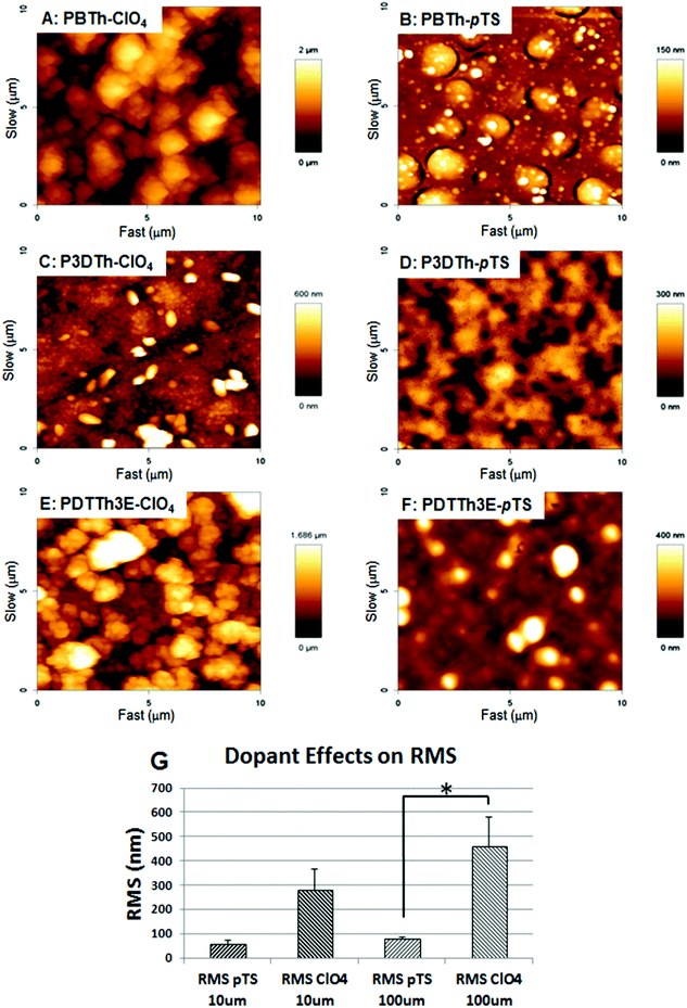 AFM imaging of polymer surface topography. PBTh-ClO4 (A), PBTh-pTS (B), P3DTh-ClO4 (C), P3DTh-pTS, PDTTh3E-ClO4 (E) and PDTTh3E-pTS (F). ClO4− doped polymers were generally rougher than pTS− doped polymers reaching statistical significance at 100 μm2 resolution (G).