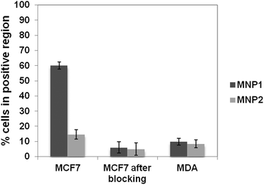 Assessment of HER2 binding capability of MNP1 and MNP2. The fraction of cells in the positive region is reported in the graph after 1 h incubation of MCF7 (HER2+) and MDA cells (HER2−, negative control) at 4 °C with 0.02 mg mL−1 of MNP1 or MNP2 previously saturated or not with TZ (5 mg, MCF7 after blocking). These values were normalized using MCF7 and MDA untreated cells, respectively, as controls. Data were expressed as means ± SE (standard error) of three individual experiments.