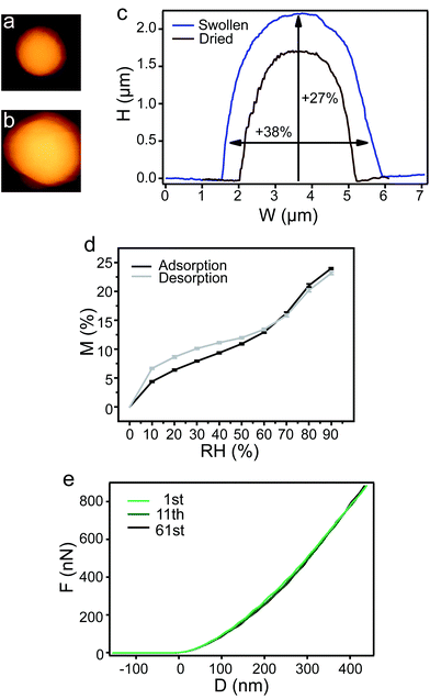 Swelling of an exemplary eADF4(C16) particle monitored by AFM in the (a) dried and (b) hydrated state. (c) Comparison of the corresponding height profiles. (d) Mass increase and decrease due to water adsorption and desorption of eADF4(C16) particles were identical after 10 repetitions (error bars shown at every 10% RH). (e) Mechanical fatigue test on the eADF4(C16) particle indicating material elasticity.