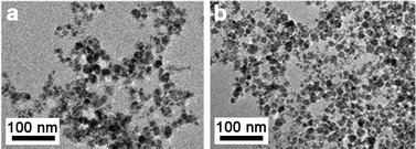 Uncoated and sterically stabilized SPIONs. Transmission electron microscope images of (a) uncoated iron oxide cores and (b) sterically stabilized NP3. Scale bars as indicated.