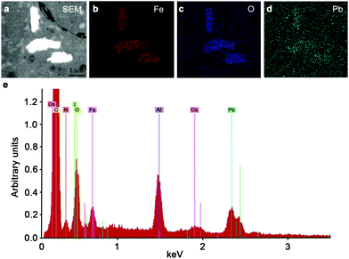 Confirmation of the presence of iron oxide nanoparticles within spheroids energy dispersive X-ray spectroscopy was used to show the presence of an electron dense region (a) consistent with iron (b), oxygen (c) and lead (d) in the sample. (e) Representative EDS elemental spectra showing the iron and oxygen from the NP3 SPIONs present in the sample.