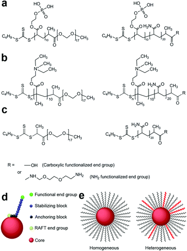 Polymeric steric stabilizers used in this study for (a) iron oxide nanoparticles, (b) silicananoparticles and (c) gold nanoparticles. (d) A diagrammatic representation of a sterically stabilized nanoparticle. (e) Cartoon of homogeneous and heterogeneous polymer stabilized nanoparticles.