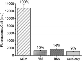 Flow cytometry was used to measure cellular binding of QDs in MEM, MEM supplemented with FBS (FBS), MEM supplemented with BSA (BSA), and cells in the absence of quantum dots (cells only). Results were normalized against QD binding in MEM.