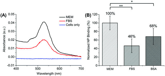 Cellular binding of protein-Au NP complexes was measured using the absorption spectra of Au NPs before and after incubation with the cells. (A) Representative difference spectra show the relative cellular binding of Au NPs following incubation with cells in the presence (FBS) or absence (MEM) of serum proteins. The difference spectra of cells in the absence of Au NPs is shown for comparison (cells only). (B) Binding of protein-Au NP complexes in MEM, MEM supplemented with FBS, and MEM supplemented with BSA. Absorbance of medium incubated with cells, but without NPs, was negligible. Binding was normalized to 100% for Au NPs incubated with cells in MEM (*p < 0.05; **p < 0.01; there was no statistically significant difference between FBS and BSA).