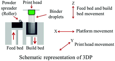 Schematic representation of three dimensional printing (3DP).
