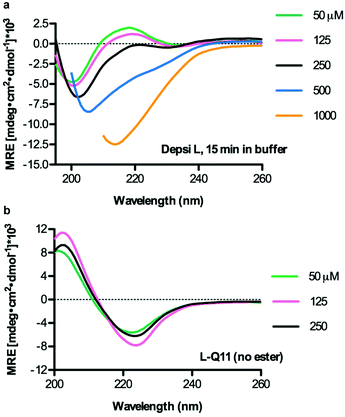 Depsi-L adopted a random coil secondary structure at concentrations below 250 μM and assumed β-sheet character at higher concentrations (increasing β-sheet content at 500 μM, with predominant β-sheet structure at 1000 μM) (a). L-Q11 adopted a β-sheet secondary structure that was comparatively independent of concentration (b). Measurements were performed in 10 mM phosphate buffer containing 137 mM KF, pH 7.2–7.4. Data is shown for dynode voltage values below 500 V, reflecting adequate signal-to-noise ratios.