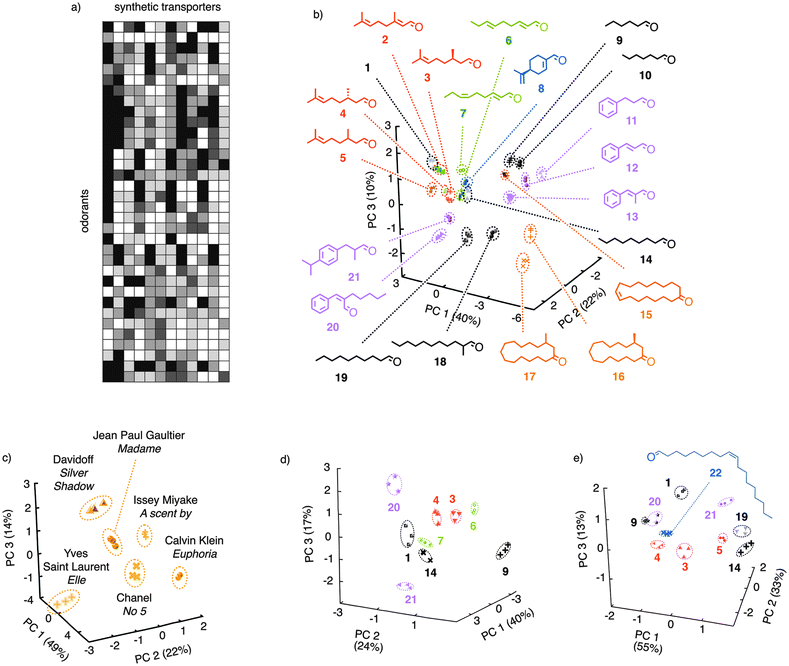 Pattern generation and pattern recognition with synthetic transport systems. (a) Generation of a 12-dimensional pattern from the different ability of amphiphiles containing G1H2, G1H3, A1H2 and A1H3 as heads and odorants 1–21 or perfumes as tails to activate calf-thymus DNA as cation transporter in fluorogenic vesicles (see Fig. 2). (b, c) Pattern recognition by principal component (PC) analysis of odorants (b) and perfumes (c) present in pattern (a); adapted from ref. 1, reproduced by permission of The Royal Society of Chemistry. (d) Same for a pattern generated with C2H2, C2H1, C1H2 and C2H3 as heads, the stated odorants as tails, and polyarginine as transporter; adapted from ref. 2 with permission, © Wiley 2011). (e) Same for a pattern generated with G1H2, G1H3 and G1H4 as heads and the stated odorants as tails, measured in fluorogenic polymersomes; adapted from ref. 3, reproduced by permission of The Royal Society of Chemistry.