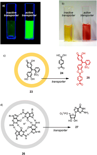 Detection of active transporters (a) as fluorescence recovery with CF-loaded vesicles (adapted from ref. 8 with permission, © 2005 American Chemical Society) or (b) as color change from yellow to red (adapted from ref. 39 with permission, reproduced by permission of The Royal Society of Chemistry). (c) Molecular basis of colorimetric detection in (b). (d) Chirogenic detection of active transporters with entrapped G-quartets.