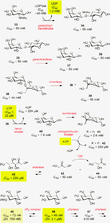 Some enzymatic reactions available for biosensing with synthetic transport systems (compare Table 1). UDPGal = uridine-5′-diphosphate galactose, UDP = uridine-5′-diphosphate, ATP = adenosine-5′-triphosphate, ADP = adenosine-5′-diphosphate, TIM = triosephosphate isomerase, OP = phosphate, OPP = pyrophosphate.
