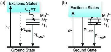 Energy diagrams for Mn2+-doped semiconductors. (a) In wide-gap semiconductors such as ZnSe and ZnS, photoexcitation followed by fast energy transfer to Mn2+ (kET ∼ 1011 s−1) yields efficient sensitized Mn2+ PL (kMn ∼ 104 s−1). (b) Narrowing the semiconductor energy gap brings the excitonic states within thermal reach of the luminescent Mn2+(4T1) excited state, allowing thermal population equilibration and emission from both excited states.