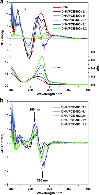 (a) CD (top) and UV-vis (bottom) spectra of the DNA/PCE complexes formed with different DNA to PCE-NO3 mass ratios. (b) CD difference between the DNA/PCE complexes and the native DNA. ΔCD = CDcomplex − χCDDNA, where χ is mass proportion of DNA in the DNA/PCE complex.