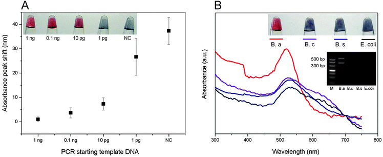 (A) Initial genomic DNA (1 ng–1 pg) of B. anthracis was used to run As-PCR for colorimetric detection as mentioned before. Correlation of starting template DNA quantities and maximum absorbance shift with triple replicates. (B) B. anthracis (B. a), B. cereus (B. c), B. subtilis (B. s) and Escherichia coli (E. coli) samples were employed in this selectivity test by visual inspection, UV-vis spectral analysis and gel electrophoresis.