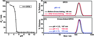 Hydrodynamic particle sizes (Dh) of self-assembled P(ONB-diacid)25-b-P(ONB-PEG2K)5 (DP25) (A) at varied pH before cross-linking, (B) at pH 4 before (black line) and after (red line) cross-linking, and (C) at different pH after cross-linking.