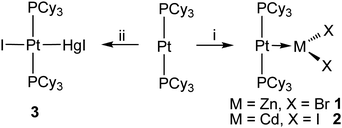 Reagents and conditions: i, ZnBr2 or CdI2; ii, HgI2 (Cy = cyclohexyl).