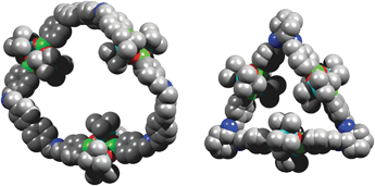 The structures of macrocycles 2 (left) and 3 (right) as determined by molecular modeling. Color coding: C: grey; N: blue, O: red; B: green; Si: cyan. Hydrogen atoms are not shown.