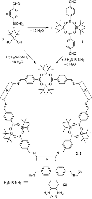 Step-wise and one-pot synthesis of macrocycles 2 and 3.