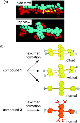 Molecular design for self-assembled structures of compounds 1 and 2; (a) a possible model of aggregation for 2 in the excited state. Blue and red structures indicate different molecules. Hydrogen atoms and forklike mesogens are omitted for clarity. (b) Possible structures of excimers formed for 1 and 2 in the condensed states. Mesogenic moieties of 1 and 2 are omitted in the illustration to the right of each molecular structure.