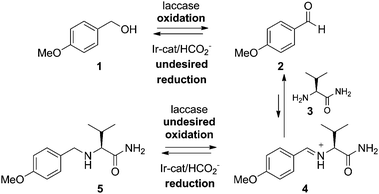 One-pot oxidation–reduction sequence.