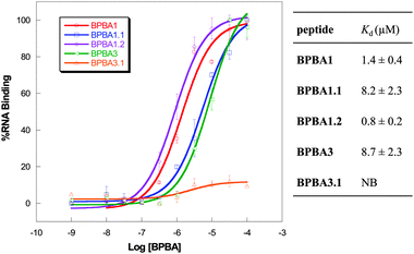Binding curves and dissociation constants of boron and non-boron containing branched peptides using dot blot assay with RRE IIB RNA. NB = no binding.