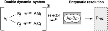 Double parallel dynamic systemic resolution.