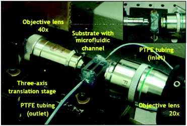 Microfluidic system. The platform comprises a PDMS microfluidic channel delivering reagents and samples to the gapless dual disk resonator (see Fig. S3 in ESI). The light probing the sample is introduced via an optical fibre coupled to a 40× microscope lens. It is coupled into the resonators via a waveguide (Fig. 1). The light exiting the sensor is coupled to a 20× objective to an optical fibre, to be analysed by a spectrometer.