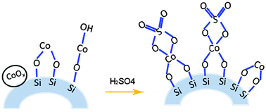 Schematic illustration of changes in Co species on Co/SiO2catalysts caused by S doping.