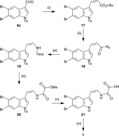 Total synthesis of kottamide E. Reagents and conditions: (i) t-BuO2CCH2P(O)(OPh)2, NaH, THF, −78 °C, 78% + 5% (E)-isomer; (ii) TFA, CH2Cl2 then NaH, DPPA, THF; (iii) TMSCH2CH2OH, toluene, reflux; (iv) NaHMDS, MeO2CC(O)Cl, THF then TBAF, THF, 32% over 5 steps; (v) aq. NaOH, MeOH, THF, 97%; (vi) 3·HCl, HBTU, DMF, Et3N, 38%.