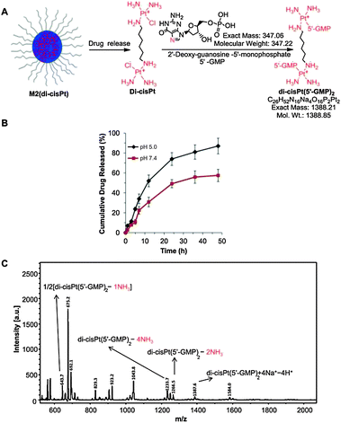 Micellar nanoparticle formation via electrostatic interactions for  delivering multinuclear platinum( ii ) drugs - Chemical Communications (RSC  Publishing) DOI:10.1039/C3CC39119A