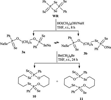 Synthesis of new 14-membered ring systems 10 and 11.