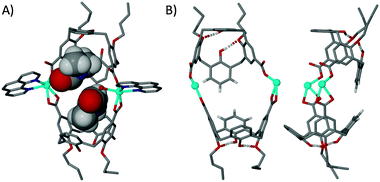(A) The skewed molecular capsule in 8 with ligated and guest dmf molecules shown in space filling representation. (B) Two views of the metal–organic skeleton in 8 showing the offset nature of the calixarenes, the tilted nature of the capsule and the H-bonding interactions (as dashed lines) present at the lower-rims of symmetry unique molecules of 6. H atoms (except those involved in lower-rim H-bonding in (B)) are omitted for clarity.