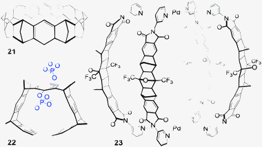 Examples of fused aryl/norbornane frameworks.49,51,53