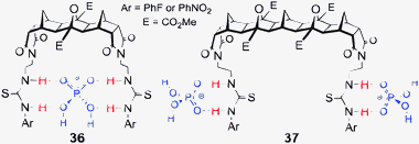 Proposed binding conformations of host 36 binding one equivalent of H2PO4−, and host 37 in a 1 : 2 complex with H2PO4−.