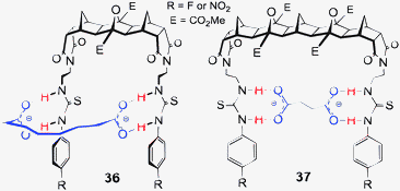 Proposed binding conformations of the 1 : 1 complexes formed between hosts 36 and 37 and the various length alkyl dicarboxylates.