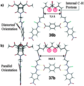 Molecular model calculated at H–F 3-21G* level of theory depicting the 1 : 1 complexes formed between the rigid aryl dicarboxylate, terephthalate2− and (a) host 36b and, (b) host 37b. Internal CH protons highlighted in red.