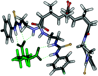 Molecular model calculated at Hartree–Fock 3-21G* level of theory depicting the 1 : 1 complex initially formed between host 38a and pimelate.