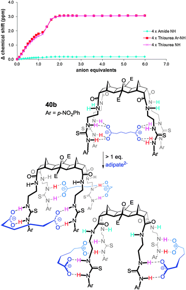 Isotherm and proposed binding of adipate by host 40b clearly showing the ‘switch’ from a 1 : 1 to a 1 : 2 H : G arrangement with an excess of guest.