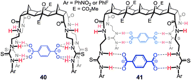 Proposed 1 : 1 and 1 : 2 binding arrangements of hosts 40 and 41, respectively, when binding terephthalate.