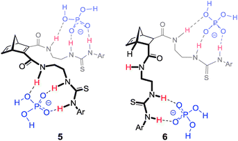 Proposed 1 : 2 H : G binding conformation of hosts 5 and 6 (also representative of the binding mode of 4) with H2PO4−.