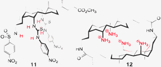 Examples of anion hosts based on cholic acid.28,29
