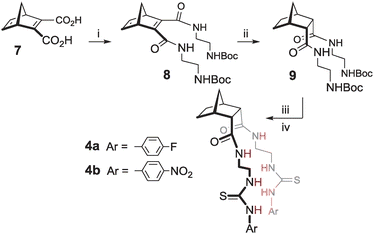 Synthesis of hosts 4. Reagents and conditions: (i) 2-(tert-butoxycarbonylamino)ethylamine, EDC, CHCl3, RT, 17 h, 44% (ii) H2, Pd(OH)2/C, EtOH, RT, 12 h, 99% (iii) 12% TFA/DCM, RT, 3 h, 100% (iv) DIPEA, CHCl3, RT, 18 h, for 4a 4-fluorophenylisothiocyanate, 93%, for 4b 4-nitrophenylisothiocyanate, 88%.