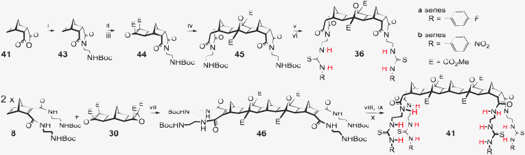 Synthesis of hosts 36 and 41. Reagents and conditions: (i) 2-(tert-butoxycarbonylamino)ethylamine, CHCl3, 120 °C, 12 h, 81% (ii) DMAD, RuH2(CO)(PPh3)3, THF, 70°C, 72 h, 86% (iii) TBHP, KOtBu, THF, 0 °C, 28 h, 69% (iv) DCM, 140 °C, 24 h, 58% (v) 20% TFA/CH2Cl2, 4 h, 100% (vi) DIPEA, CHCl3, 23 h, for 36a 4-fluorophenylisothiocyanate, 84%, for 36b 4-nitrophenylisothiocyanate, 68% (vii) 2.2 eq. 9, THF, 140 °C, 49 h, 65% (viii) H2, Pd–OH/C, 48 h 61% (ix) 20% TFA/CH2Cl2, 4 h, 100% (x) DIPEA, CHCl3, 24 h, for 41a 4-fluorophenylisothiocyanate, 92%, for 41b 4-nitrophenylisothiocyanate, 95%
