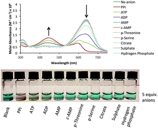Qualitative screening of 9·Zn222·11 after addition of 5 equiv. of anions to a 20 μM receptor : indicator solution. UV-vis spectra (top) and visual screening (bottom).