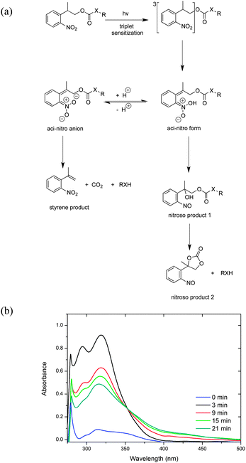 (a) Principle photo-cleavage pathways and products of the NPPOC-protected substrates. (b) UV/Vis spectra of NPPOC-hexylamine (0.05 mM) before and after photolysis using 320–390 nm irradiation in MeOH.