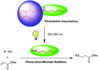 Photo-triggered thiol-Michael addition reaction using NPPOC-hexylamine as a catalyst.