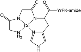 Molecular structure of Cu(ii)-YrFK-amide complex.