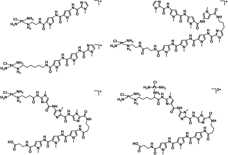 Molecular structures of some mononuclear and dinuclear PtII complexes incorporating linear and hairpin polyamide ligands.