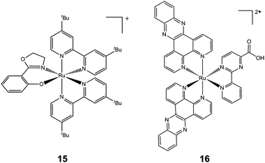Molecular structures of complexes 15 and 16. Only one enantiomer is shown.