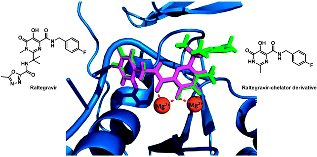 Molecular structures of raltegravir and RCD-1. Comparison of the computational docking of RCD-1 (magenta) in the PFV IN versus the reported crystal structure of raltegravir (green) bound to PFV IN (PDB ID 3OYA). Adapted from ref. 304.